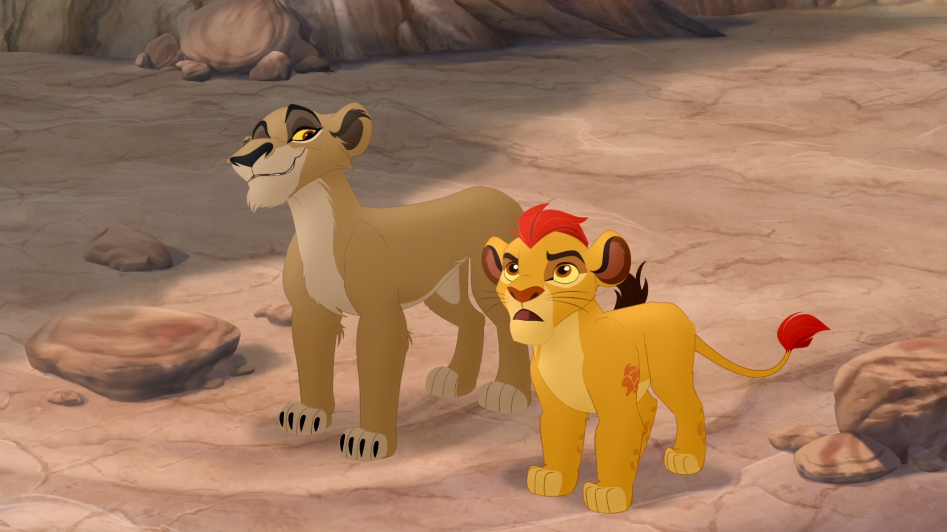What is Zira 40 What is Zira 21